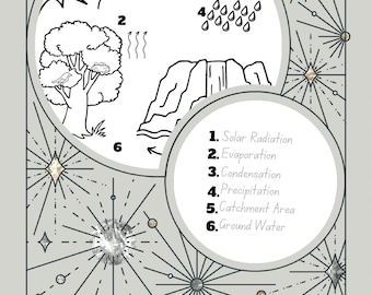 Educational Water Cycle Worksheet - Instant Download - Etsy