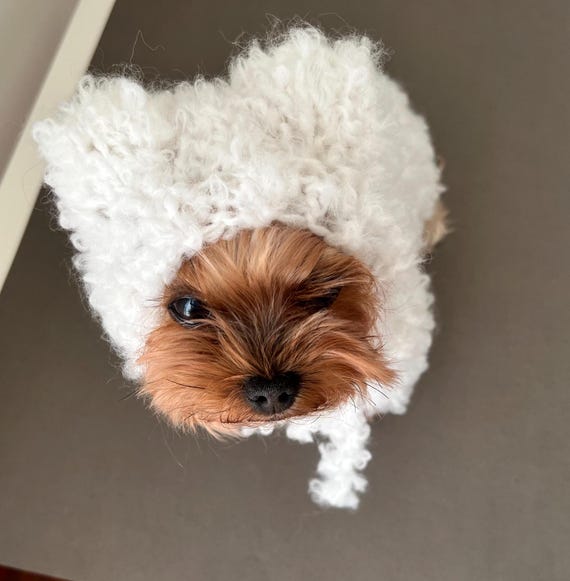 Patrón de tejido de suéter para perro Patrón de gorro de suéter