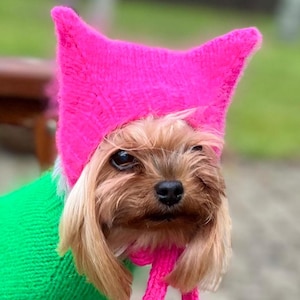 knitting PATTERN dog cat hat Size XS / cat beanie / dog accessories / gifts for dog / crochet dog pattern / yorkie pattern / dog clothes