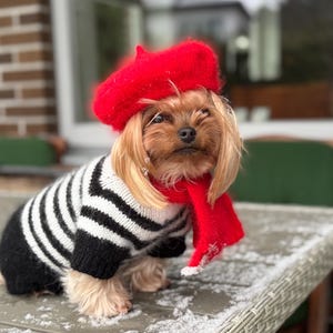 Ensemble bonnet pour chien / chapeau pour chat / collier pour chien personnalisé / accessoires pour chien / cadeaux yorkshire / cadeaux pour animaux de compagnie / bonnet pour chat / articles pour animaux de compagnie / vêtements pour chien