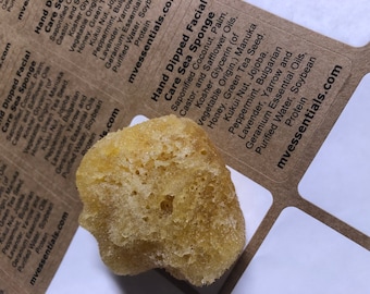 Dipped Silk Sea Sponge