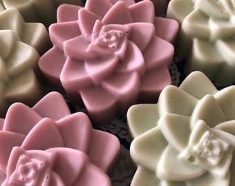 Succulent Soap