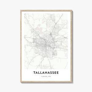 Wydruk mapy Tallahassee: Grafika mapy miasta, Floryda