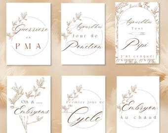 30 cartes étapes pma fiv ivf planner