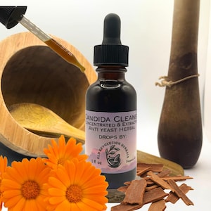 Può includere: Una bottiglia di vetro scuro di gocce Candida Cleans con un contagocce nero, etichettata come "Concentrato ed estratto di erbe anti-lievito". L'immagine include fiori di calendula arancioni, bastoncini di cannella e un mortaio e un pestello di legno. La bottiglia contiene 30 ml.