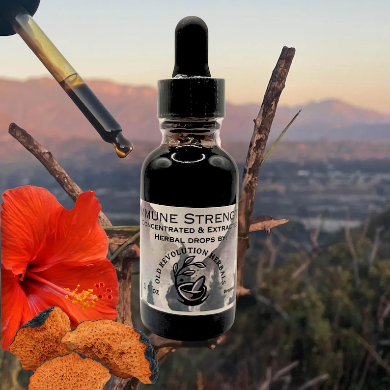 May include: A dark glass bottle of herbal drops with a black dropper, labeled "Immune Strength." The label also reads "Concentrated & Extracts" and "Old Revolution Herbals." A red hibiscus flower and pieces of brown chaga mushroom are in the foreground.