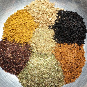 Immune Strength w/Chaga | 100% Organic | Elderberry, Echinacea, Hibiscus & More | Handmade Herbal Wellness Drops image 5