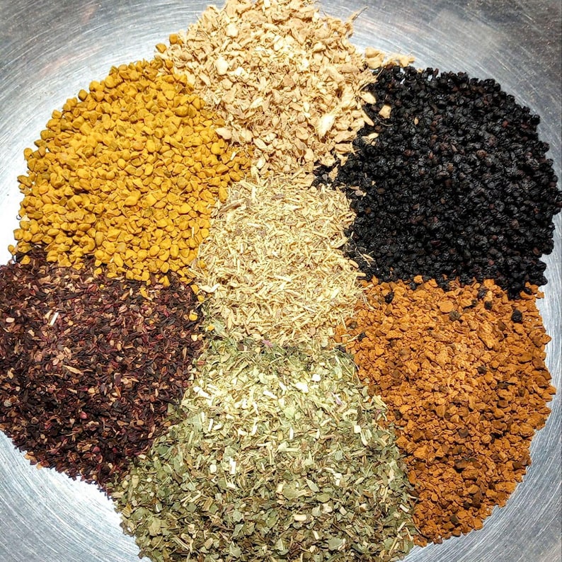 Immune Strength w/Chaga | 100% Organic | Elderberry, Echinacea, Hibiscus & More | Handmade Herbal Wellness Drops image 5