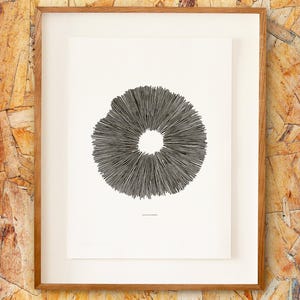 Puede incluir: Una impresión artística enmarcada con un diseño abstracto en blanco y negro. La obra de arte presenta un patrón circular con líneas radiales, que se asemeja a una sección transversal de un hongo. La impresión está enmarcada en un marco de madera.