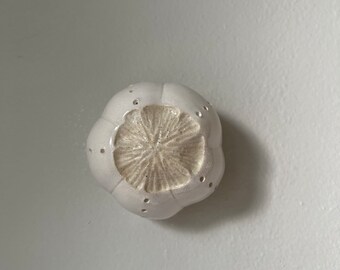 Ceramic Wall Art Cream White Sea Urchin Pod 1