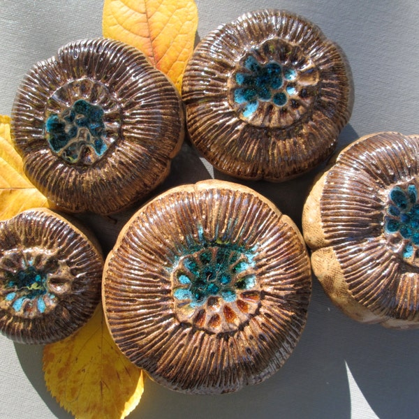 Five Golden Mustard Brown Ceramic Sea Anemone Bloom Pods with Peacock Blue Glass Wall Art