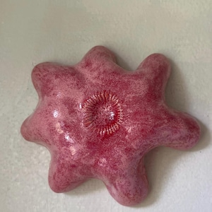 May include: A star-shaped ceramic dish with a glossy, mottled pink and deep red glaze. The surface features a textured, circular indentation at the center with radiating lines, resembling a sea creature or organic form with six rounded points.