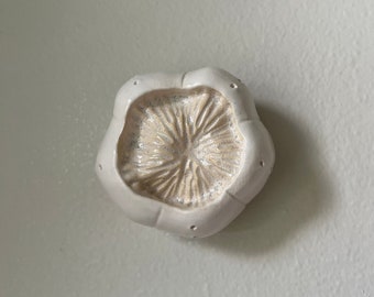 Ceramic Wall Art White Sea Urchin Pod 18