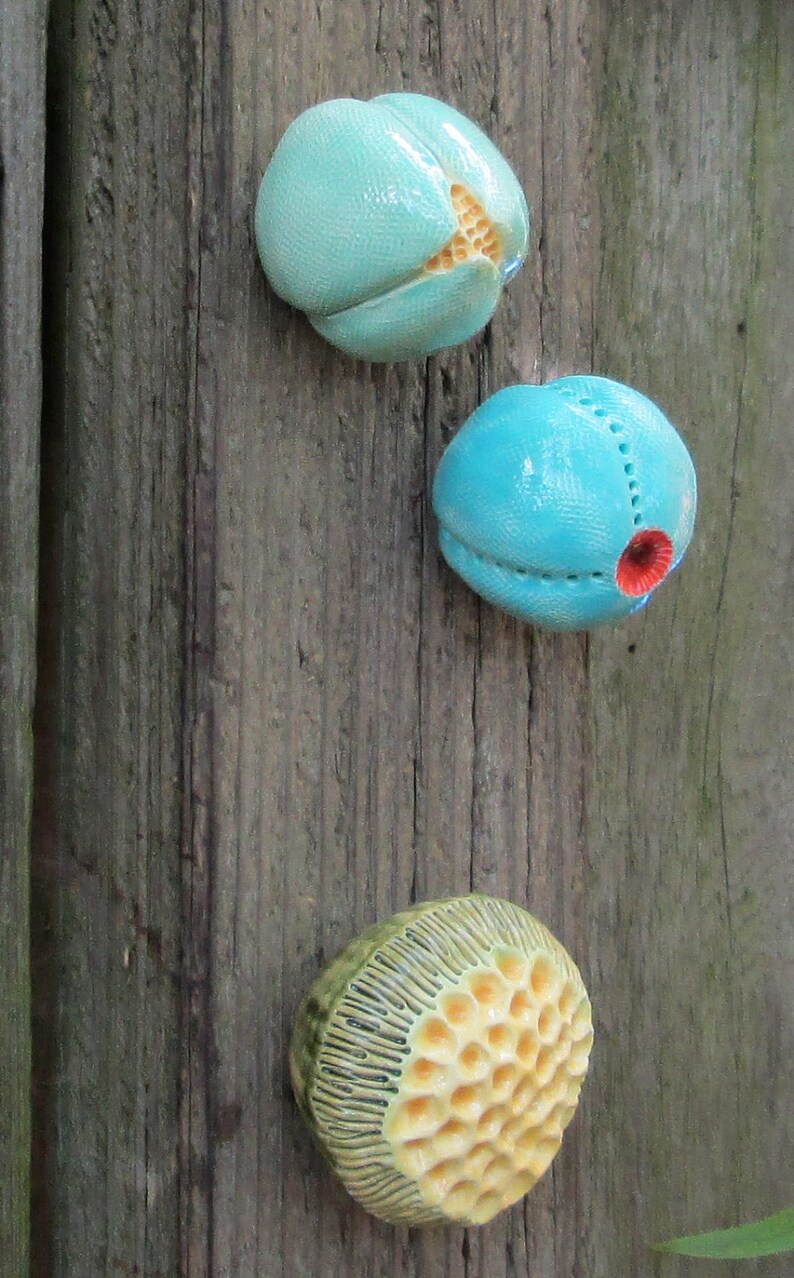 Small Green and Yellow Spore Pod 5 Etsy