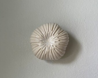 Ceramic Wall Art White Coral Sea Garden Pod 15