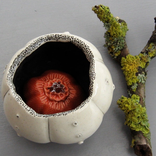 Red Spore Pod Inside Sea Urchin Shell  Pod Ceramic Wall Hanging