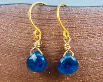 Santore Jewelry Apatite Heishi Hoop Earrings