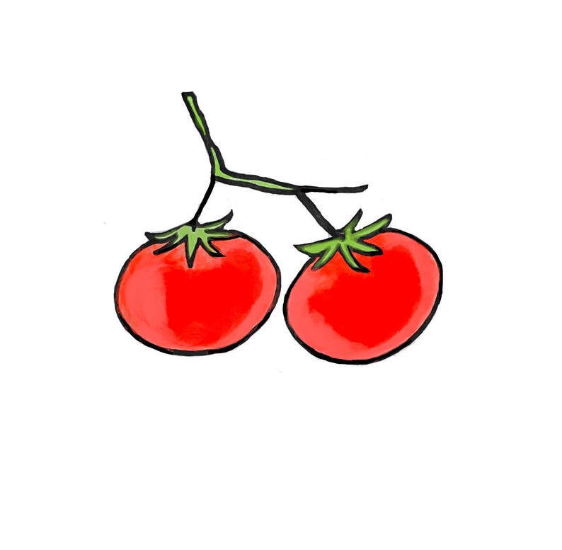 May include: Two red tomatoes on a green vine. The tomatoes are round and have a glossy finish.