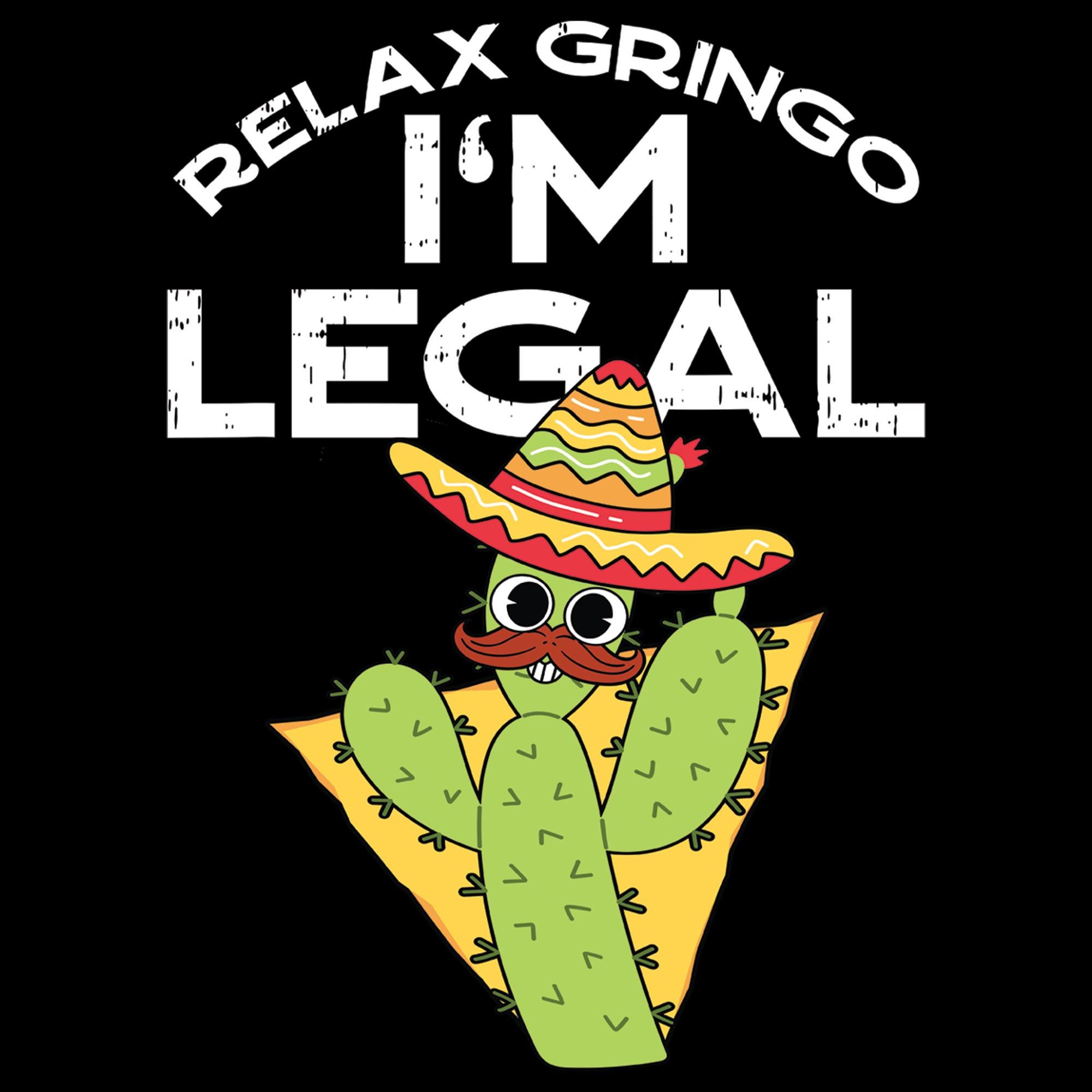 Funny Cinco De Mayo Cactus PNG: Relax Gringo, Mexican Fiesta (Digital Download)