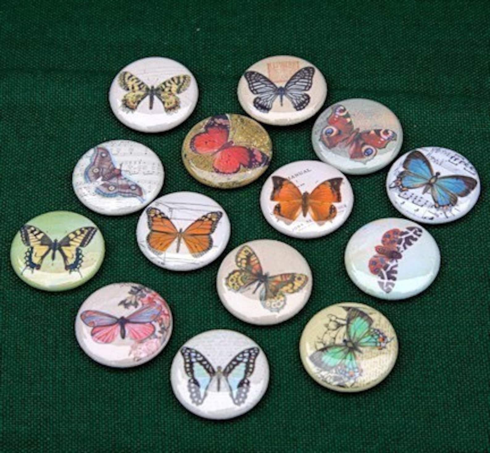 Butterflies - Set of 14 - Buttons Pinbacks Badges 1 Inch Flatbacks or ...