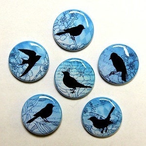 Blue Vintage Birds Set of 6 Buttons Pinbacks Badges 1 inch