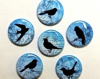 Blue Vintage Birds Set of 6 Buttons Pinbacks Badges 1 inch