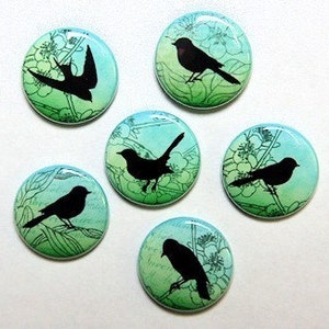 Green Vintage Birds Set of 6 Buttons Pinbacks Badges 1 inch