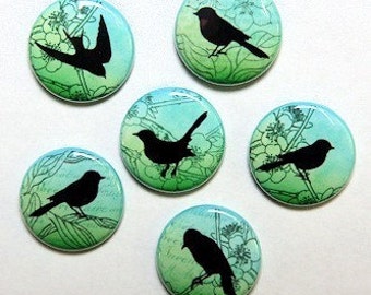 Green Vintage Birds Set of 6 Buttons Pinbacks Badges 1 inch