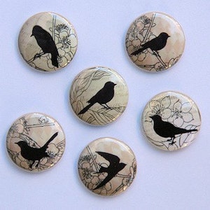 Brown Vintage Birds Set of 6 Buttons Pinbacks Badges 1 inch