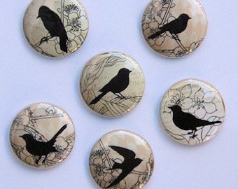 Brown Vintage Birds Set of 6 Buttons Pinbacks Badges 1 inch
