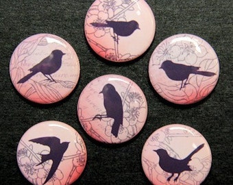 Red Pink Vintage Birds Set of 6 Buttons Pinbacks Badges 1 inch