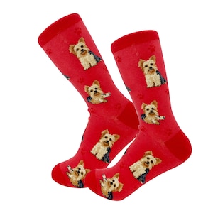 May include: A pair of red socks featuring a repeating pattern of Yorkshire Terrier dogs and paw prints. The socks have a red cuff, heel, and toe. The Yorkshire Terriers are depicted with tan and black fur.