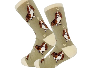 Chaussettes intégrales Basset Hound - Chaussettes confortables de qualité supérieure, des idées cadeaux de fantaisie parfaites pour les amoureux des animaux de compagnie
