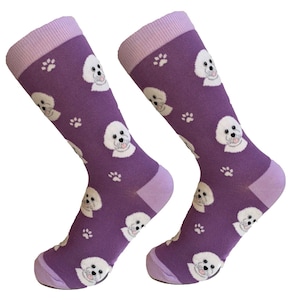 Bichon Frise Socks – Premium Quality  - Fun Novelty Socks , Perfect Novelty Gift Ideas for Pet Lovers