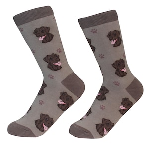 Könnte beinhalten: Ein Paar graue Socken mit einem Muster aus braunen Labrador Retriever Hunden mit rosa Zungen. Die Socken haben einen braunen Bund, eine braune Ferse und eine braune Spitze.