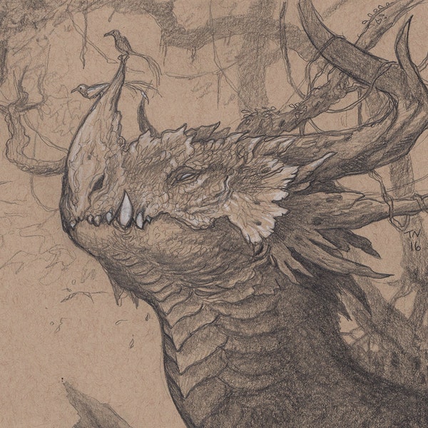 8"x10" Limited Edition archival art print "Watch Where You're Going" dragon drawing nature forest fantasy creature