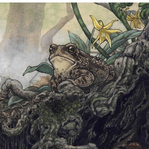 5"x7" Limited Edition archival art print "Queen of the undergrowth" / cute toad, frog art, animal painting, watercolor forest, nature print