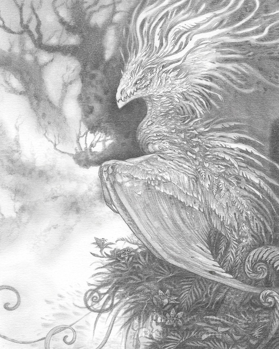 Pencil Mythical Creatures Drawings