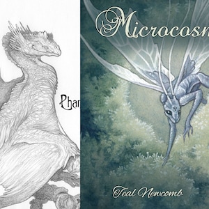 Both art books &quot;Phantasmagoria&quot; AND &quot;Microcosms / 5&quot;x7&quot; black and white, 4&quot;x5&quot; full color fantasy art nature dragon fairy forest botanical