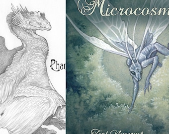 Both art books "Phantasmagoria" AND "Microcosms / 5"x7" black and white, 4"x5" full color fantasy art nature dragon fairy forest botanical