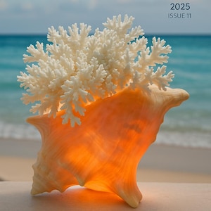 Conch Shell Lamp, Seashell Light for Beach Coastal and Nautical Decor and Display