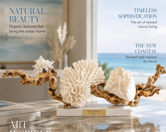 The Coastal Relic Series - Collection 1 | Luxury Beach House Decor | Statement Piece