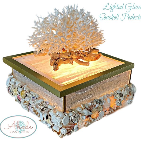 Seashell Display Box Etsy