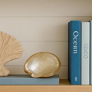 Large Mother of Pearl Shell – 4-5&quot; – Iridescent Natural Seashell Décor for Nautical Coastal and Beach Decor Display, Craft Shells