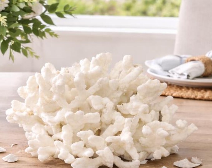 Large White Catspaw Coral Sculpture: Coastal Statement Piece (#CS-0303)