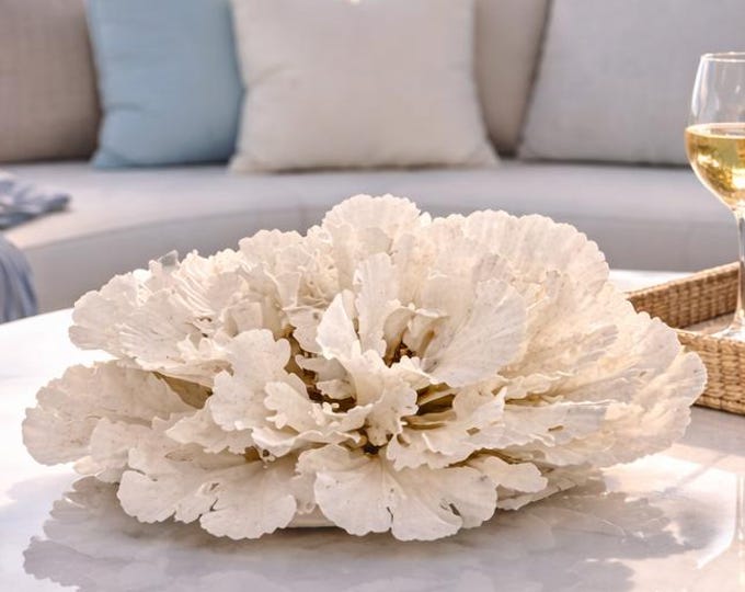Large White Rugosa Coral Sculpture: Coastal Statement Piece (#CS-0224)