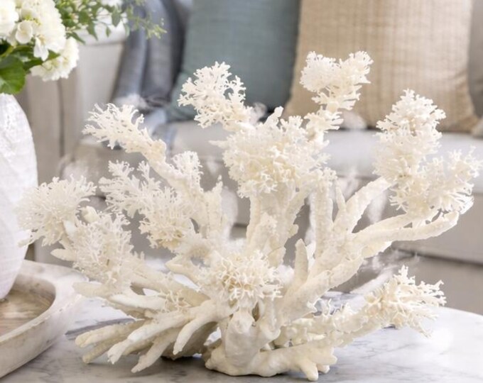 Large White Lace Reef Coral Sculpture: Coastal Statement Piece (#CS-1011)