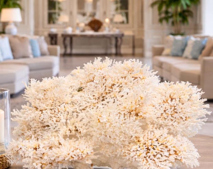 Large White Lace Coral Sculpture: Coastal Statement Piece (#CS-0323)