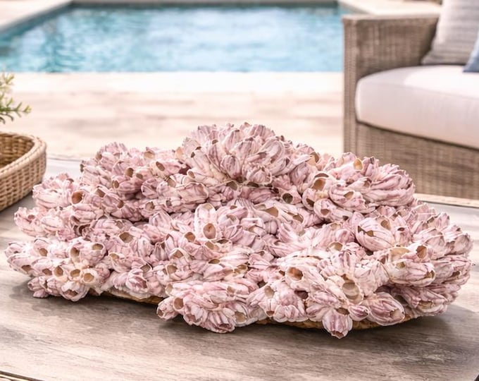 Large Barnacle Sculpture: Coastal Statement Piece (#CS-0419)