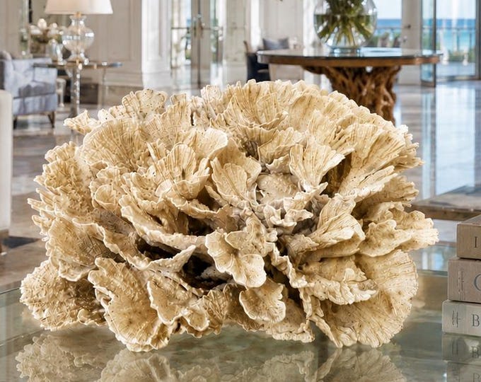 Natural Poca Coral Specimen: Authentic Coastal Decor Collector's Piece